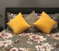 Acoustic Comfort & Spring Style