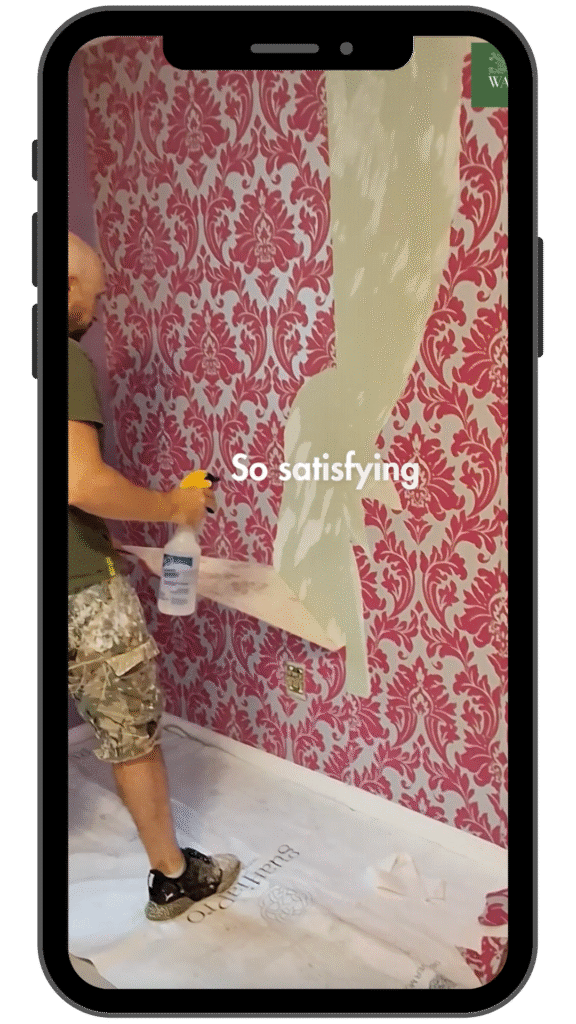 Wallpaper Removal Tutorial