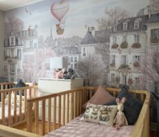 Parisian Rooftops & Growing Dreams